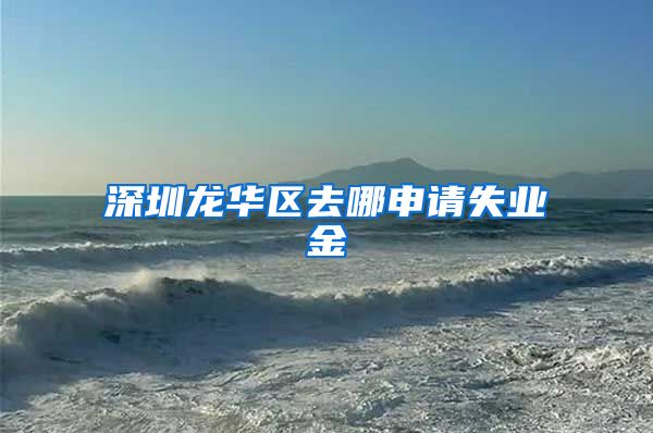 深圳龙华区去哪申请失业金