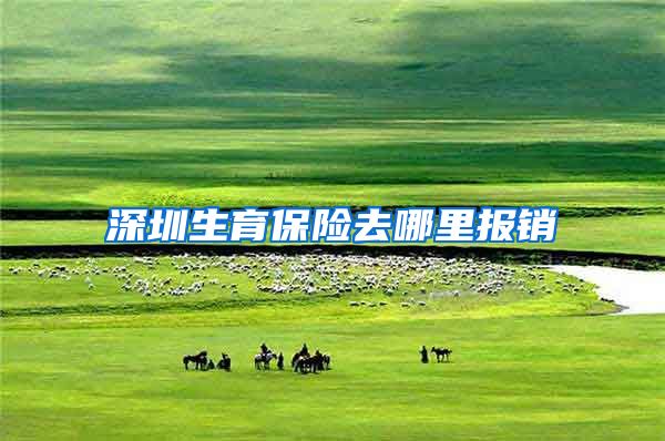 深圳生育保险去哪里报销