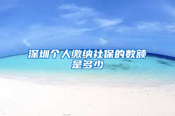 深圳个人缴纳社保的数额是多少