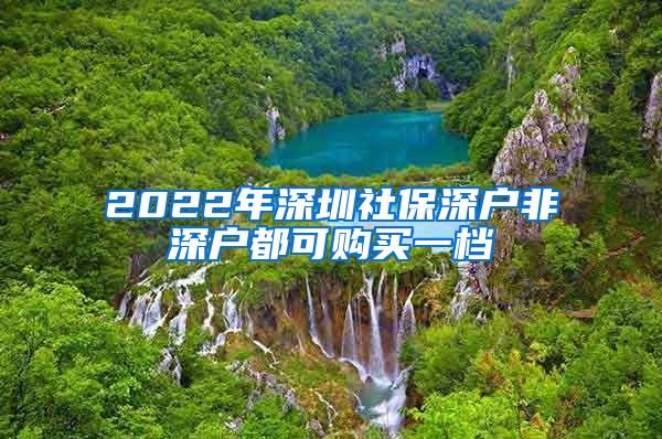 2022年深圳社保深户非深户都可购买一档