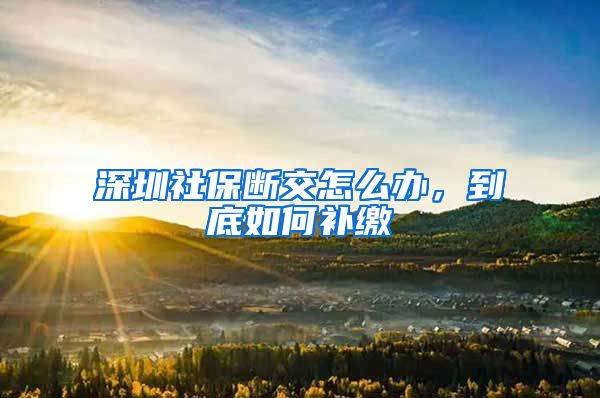 深圳社保断交怎么办，到底如何补缴