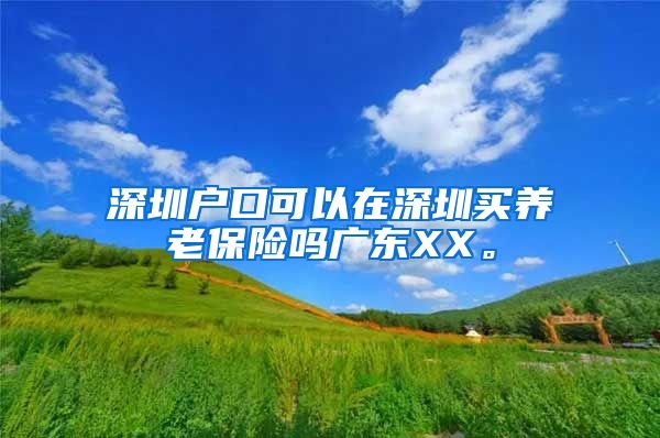 深圳户口可以在深圳买养老保险吗广东XX。