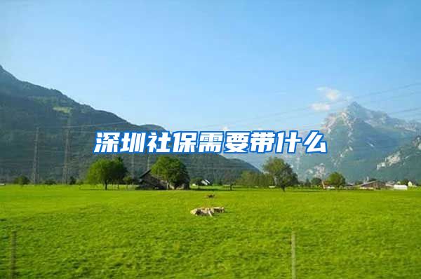 深圳社保需要带什么