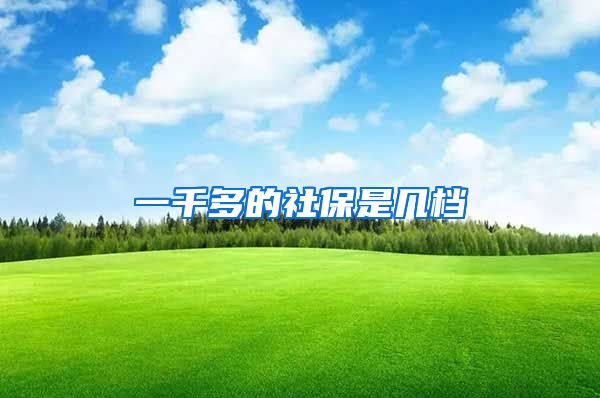 一千多的社保是几档