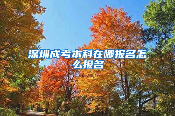 深圳成考本科在哪报名怎么报名