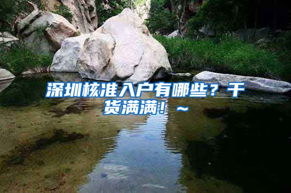 深圳核准入户有哪些？干货满满！~