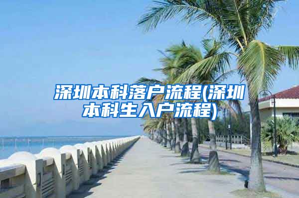 深圳本科落户流程(深圳本科生入户流程)