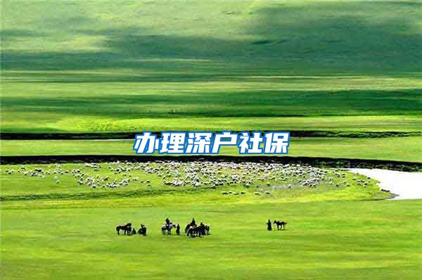 办理深户社保