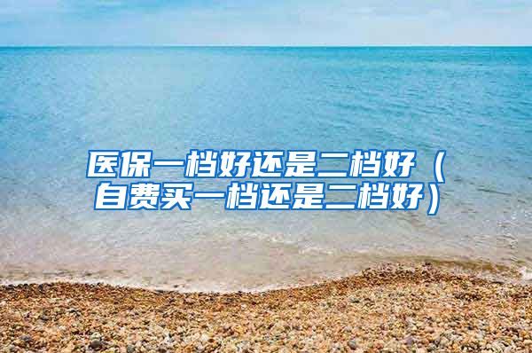 医保一档好还是二档好（自费买一档还是二档好）