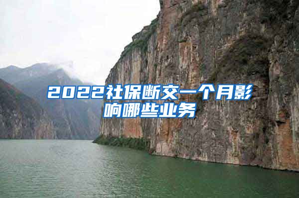 2022社保断交一个月影响哪些业务