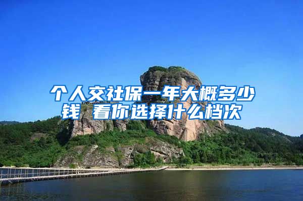 个人交社保一年大概多少钱 看你选择什么档次