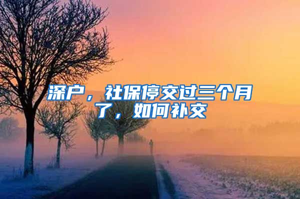 深户，社保停交过三个月了，如何补交