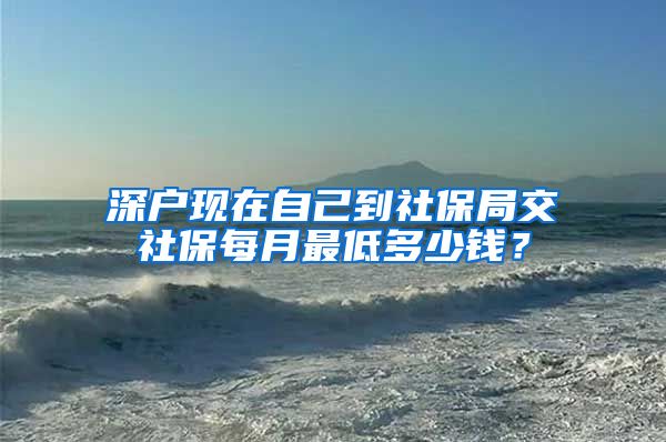 深户现在自己到社保局交社保每月最低多少钱？
