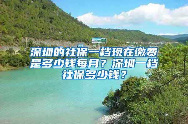 深圳的社保一档现在缴费是多少钱每月？深圳一档社保多少钱？