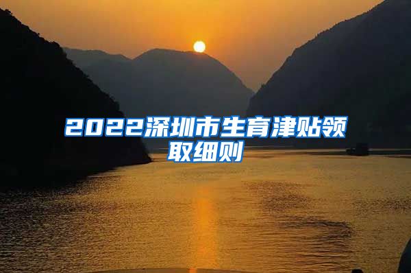 2022深圳市生育津贴领取细则