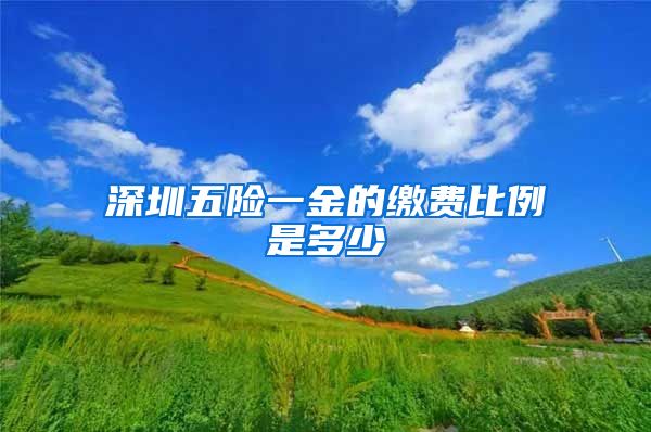 深圳五险一金的缴费比例是多少