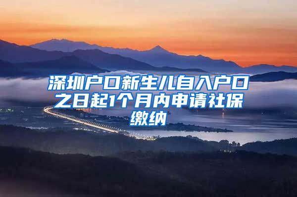 深圳户口新生儿自入户口之日起1个月内申请社保缴纳