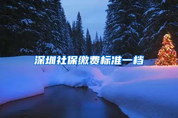 深圳社保缴费标准一档