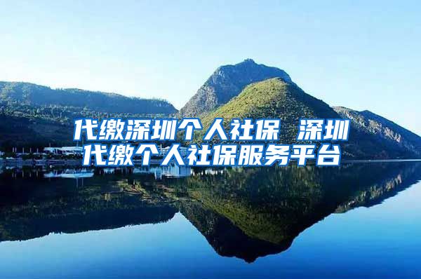 代缴深圳个人社保 深圳代缴个人社保服务平台