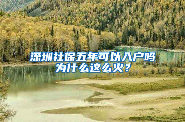 深圳社保五年可以入户吗为什么这么火？