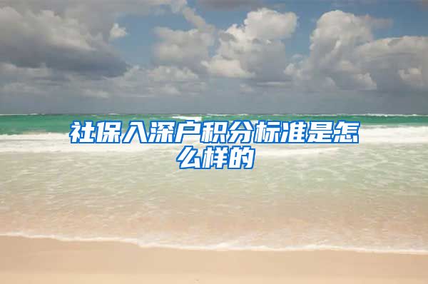 社保入深户积分标准是怎么样的
