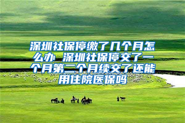 深圳社保停缴了几个月怎么办 深圳社保停交了一个月第二个月续交了还能用住院医保吗