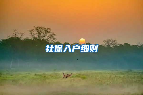 社保入户细则