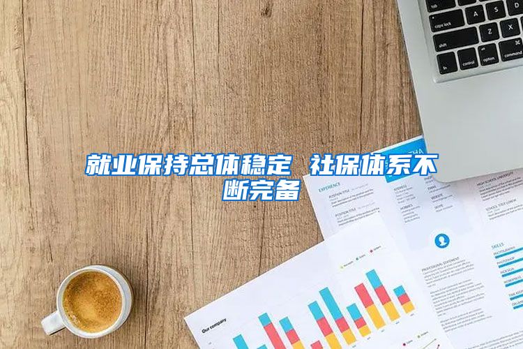 就业保持总体稳定 社保体系不断完备