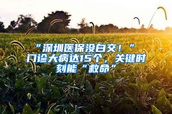 “深圳医保没白交！” 门诊大病达15个，关键时刻能“救命”