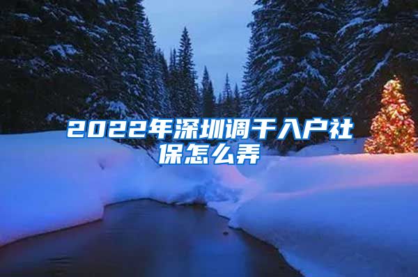 2022年深圳调干入户社保怎么弄