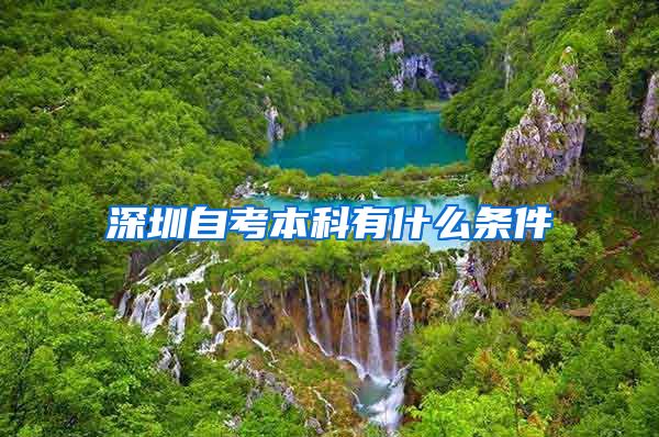 深圳自考本科有什么条件