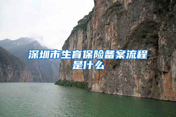 深圳市生育保险备案流程是什么