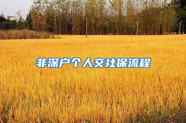 非深户个人交社保流程