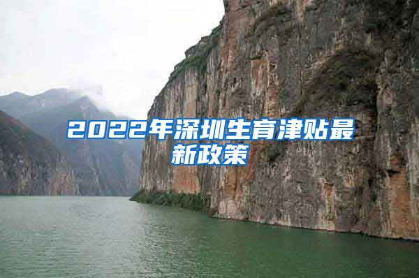 2022年深圳生育津贴最新政策
