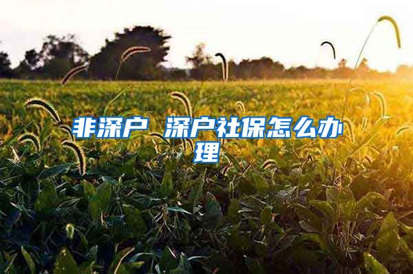 非深户 深户社保怎么办理