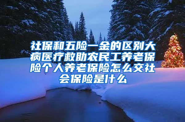 社保和五险一金的区别大病医疗救助农民工养老保险个人养老保险怎么交社会保险是什么