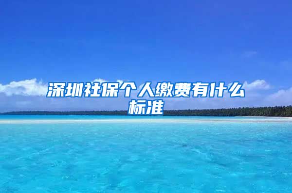 深圳社保个人缴费有什么标准