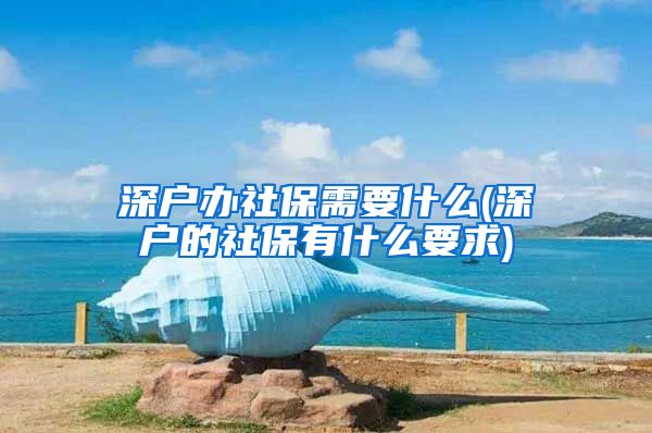 深户办社保需要什么(深户的社保有什么要求)