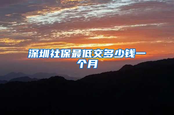 深圳社保最低交多少钱一个月
