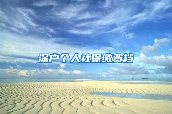 深户个人社保缴费档