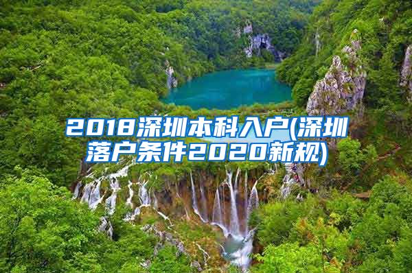 2018深圳本科入户(深圳落户条件2020新规)
