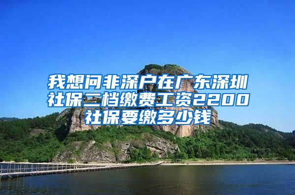 我想问非深户在广东深圳社保二档缴费工资2200社保要缴多少钱