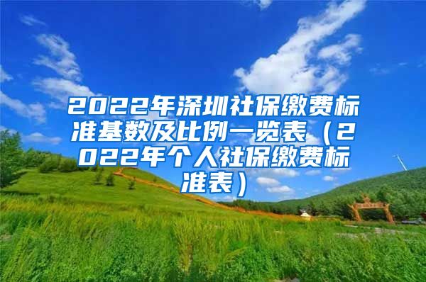 2022年深圳社保缴费标准基数及比例一览表（2022年个人社保缴费标准表）
