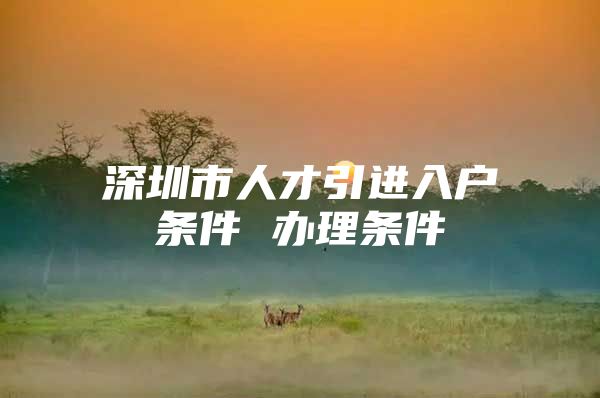 深圳市人才引进入户条件 办理条件