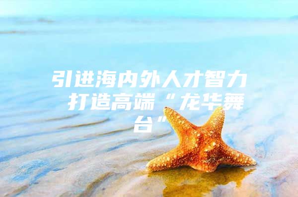 引进海内外人才智力 打造高端“龙华舞台”