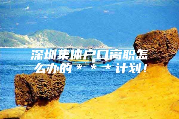 深圳集体户口离职怎么办的＊＊＊计划！