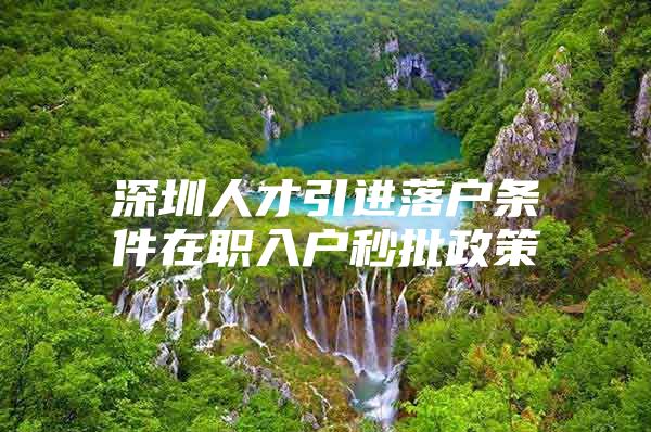 深圳人才引进落户条件在职入户秒批政策