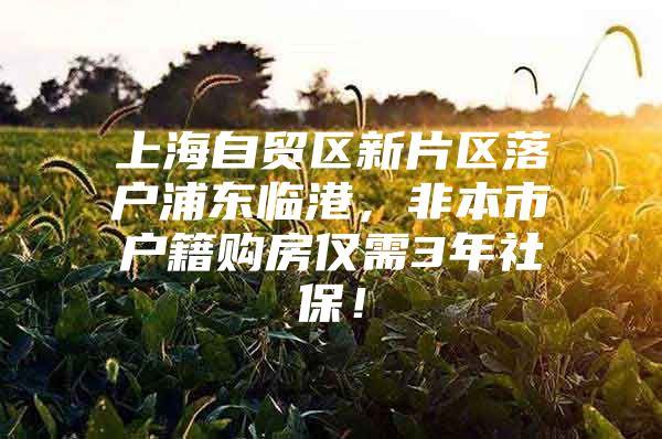 上海自贸区新片区落户浦东临港，非本市户籍购房仅需3年社保！