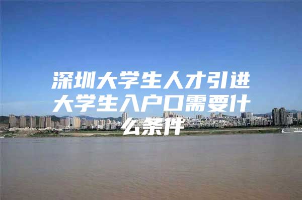 深圳大学生人才引进大学生入户口需要什么条件