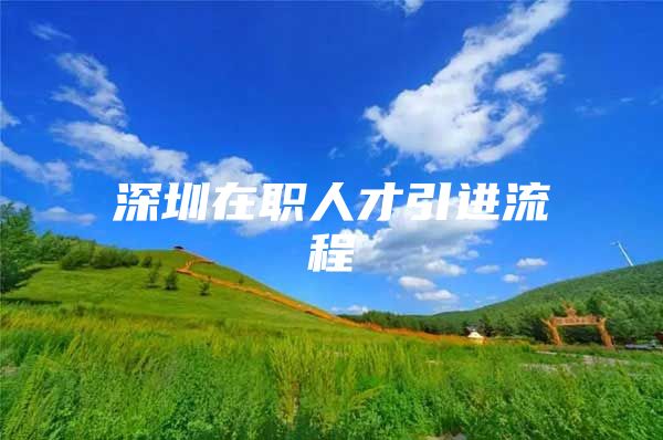 深圳在职人才引进流程